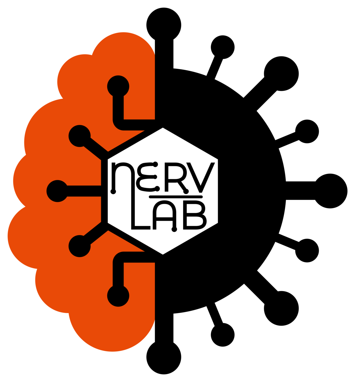 NERVLAB